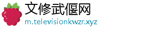 文修武偃网